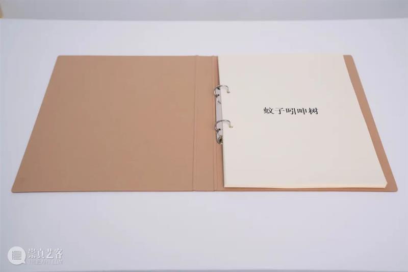 “堆叠——東京画廊+BTAP(北京)成立20周年特展”第一批作品接龙入场 视频资讯 東京画廊BTAP 画廊 BTAP 作品 北京 特展 计划 开幕式 疫情 艺术家 人和 崇真艺客